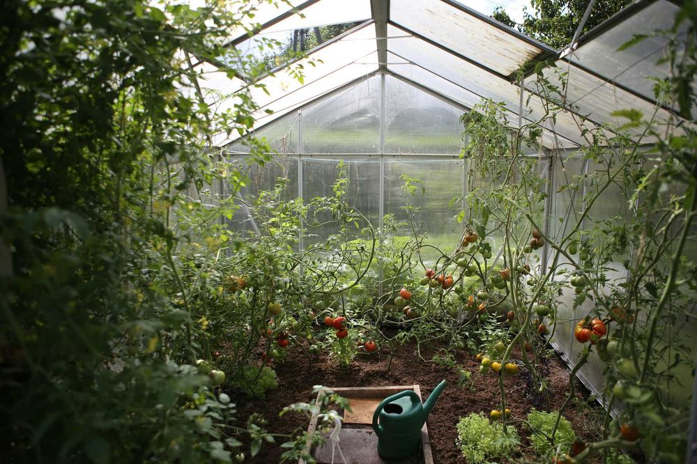 Jardinería Guadalajara